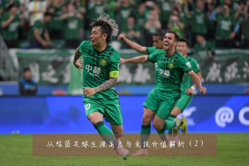 从绿茵足球生涯高光与竞技价值解析(2)